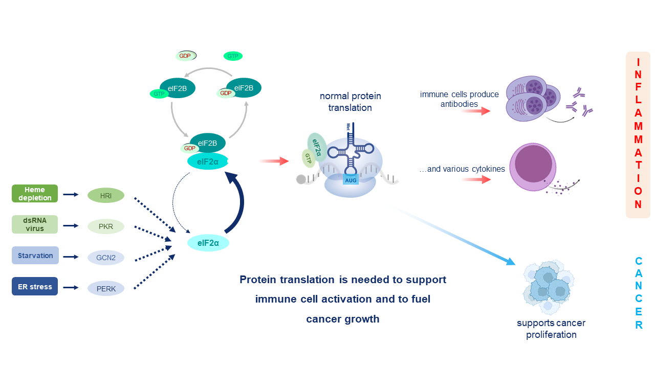 The Integrated Stress Response platform