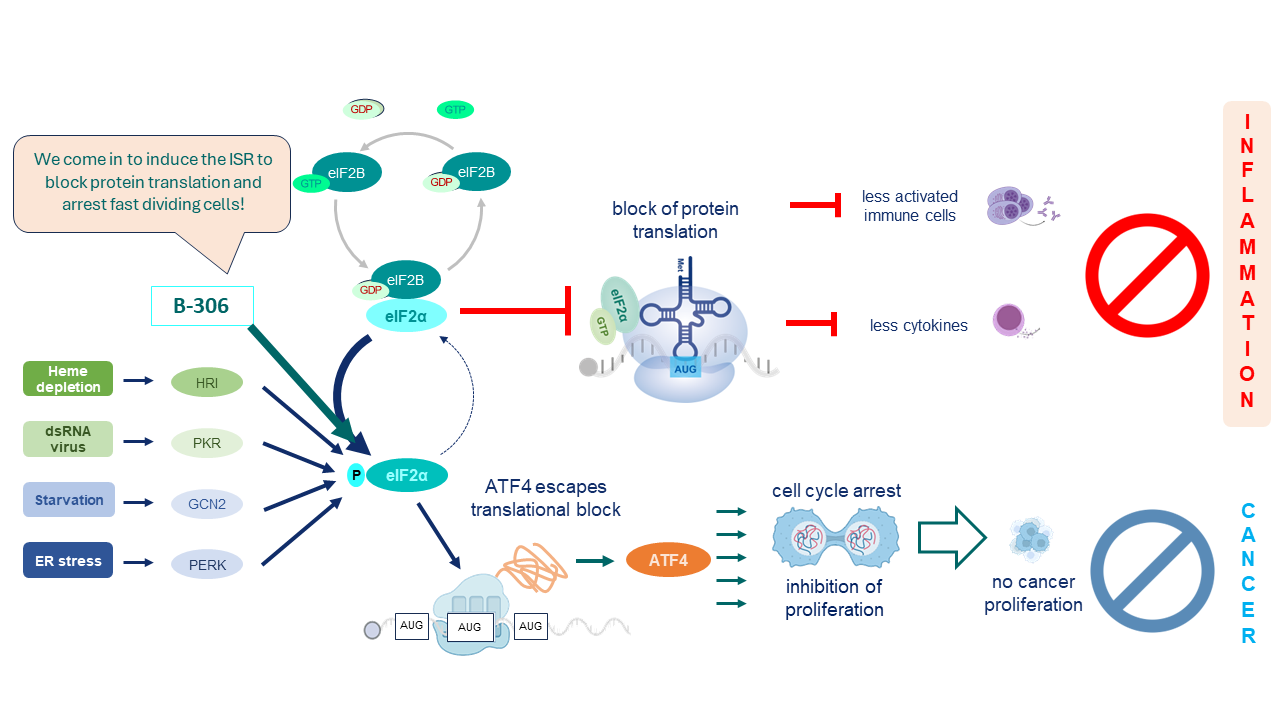 The Integrated Stress Response platform